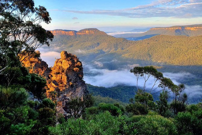 Private 10-Hour Tour to Blue Mountains From Sydney - Hotel Pick up & Drop off - Terms & Conditions