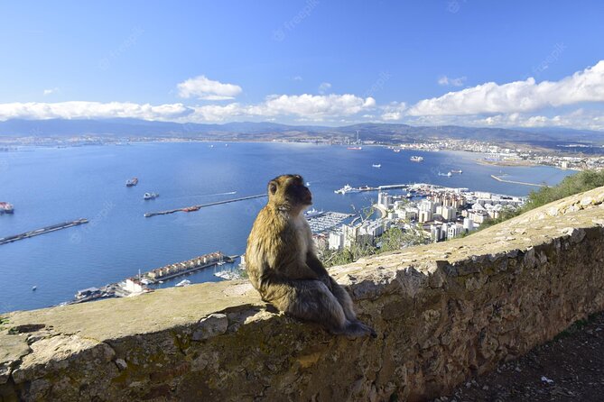 Private 10-Hours Tour of Gibraltar From Cadiz - Terms and Conditions