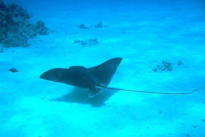 Private 10 Nights Cairo, Nile Cruise & Sharm El Sheikh by Flight - Terms and Conditions