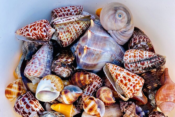 Private 10,000 Islands Eco Tour - Refund Policy for Cancellations