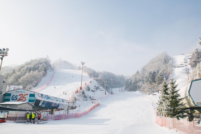 Private 1:1 Ski Lesson Near Seoul, South Korea - Booking Details and Options