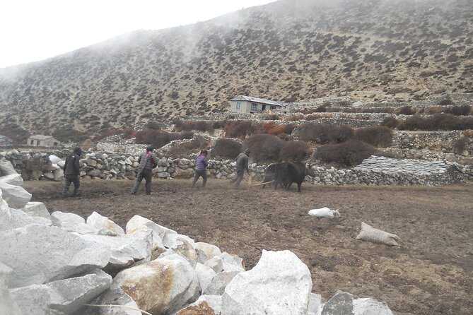 Private 12 - Day Everest Base Camp Trekking - Important Information for Travelers