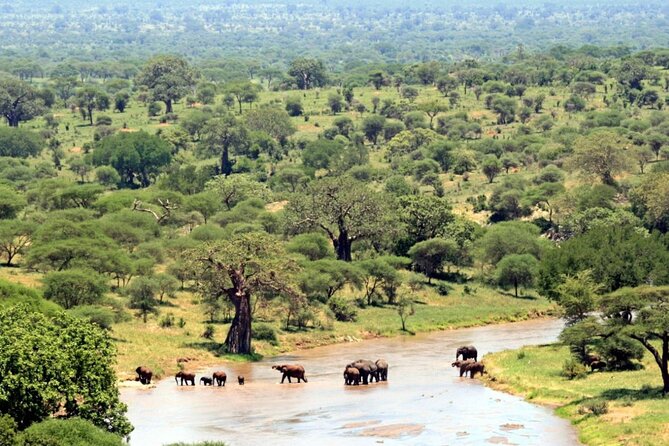 Private 12-Day Johannesburg, Kruger, Drakensberg, Cape Town Tour - Accommodation Options