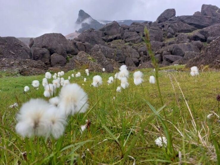Private 12 Hour Jeep Tour in Landmannalaugar From Reykjavik - Booking Information