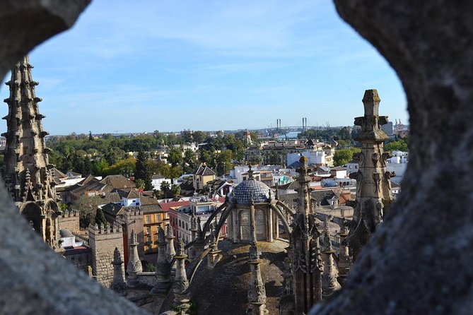 Private 12-Hour Tour to Sevilla From Malaga With Hotel Pick up - Traveler Feedback