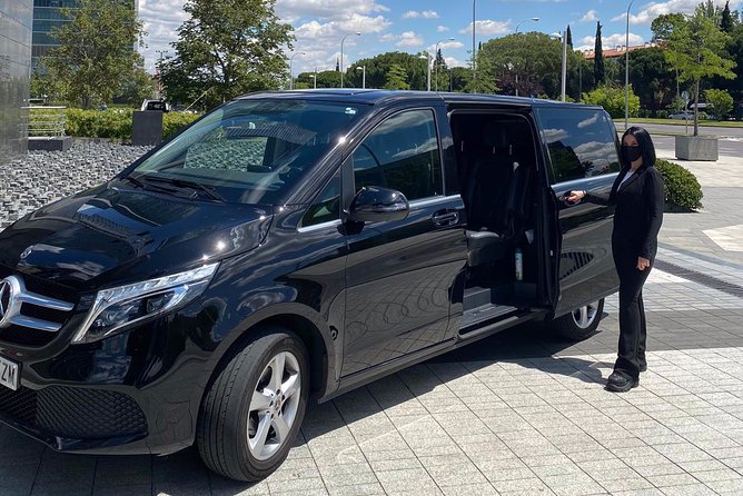 Private 12-Hour Tour to Sevilla From Malaga With Hotel Pick up - Price