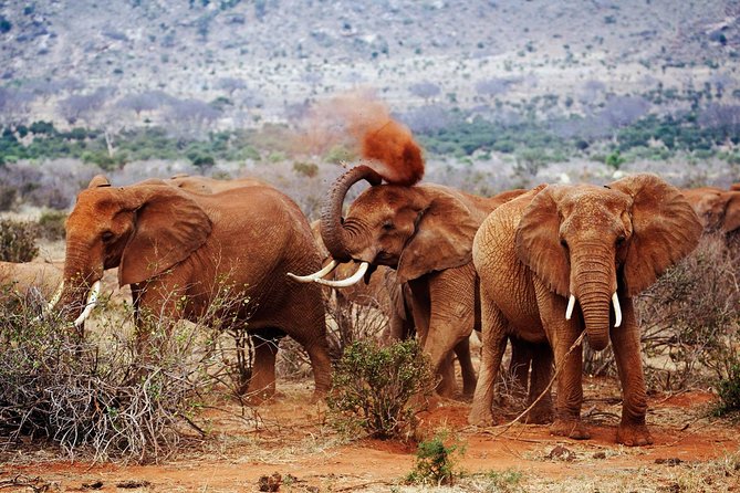 Private 13 Days Best of Kenya Wildlife Safari Trail - Packing Essentials