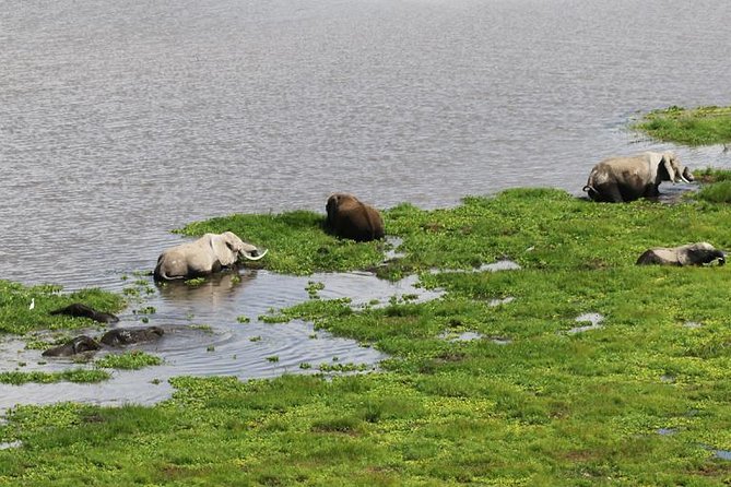 Private 13 Days Best of Kenya Wildlife Safari Trail - Safety and Guidelines