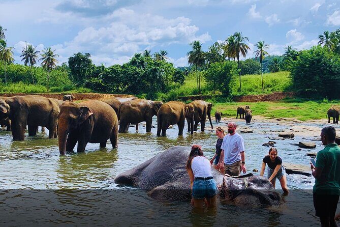 Private 14 Day All Inclusive Sri Lanka Island Tour from Airport - Introducing the 14-Day All-Inclusive Sri Lanka Island Tour
