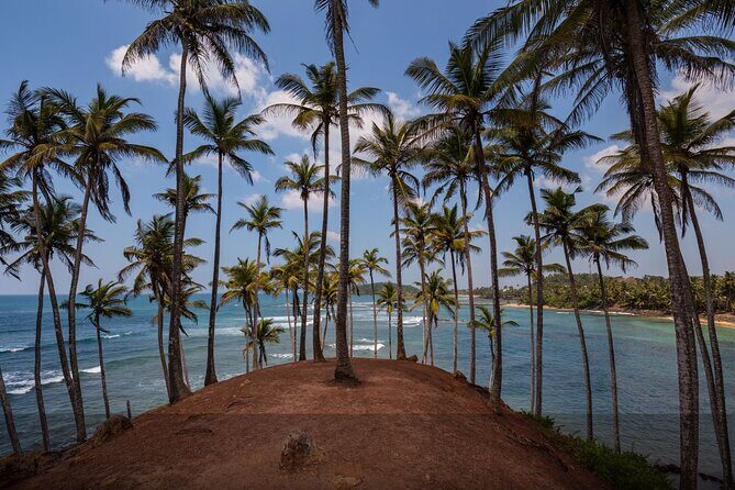 Private 14 Day All Inclusive Sri Lanka Island Tour from Airport - Good To Know