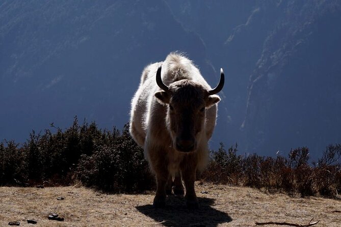 Private 14-Day Guided Trek, Everest Base Camp Nepal - Kathmandu - Recommended Equipment and Responsible Tourism