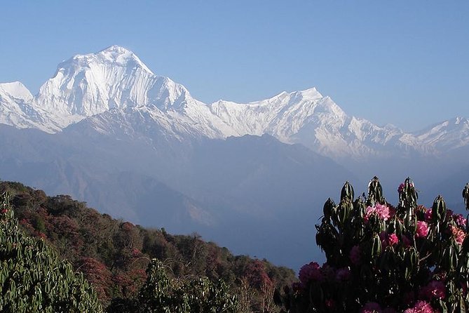 Private 14-Day Trekking and Sightseeing: Annapurnas & More - Kathmandu - Pricing and Value