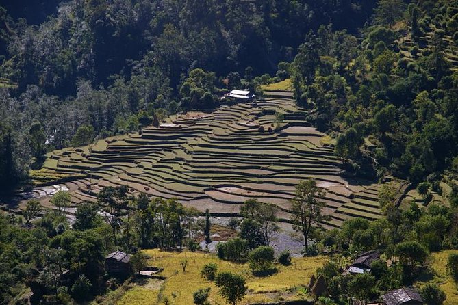 Private 14-Day Trekking and Sightseeing: Annapurnas & More - Kathmandu - Booking and Flexibility