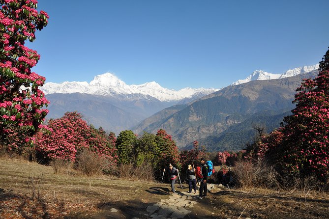 Private 14-Day Trekking and Sightseeing: Annapurnas & More - Kathmandu - Tour Overview