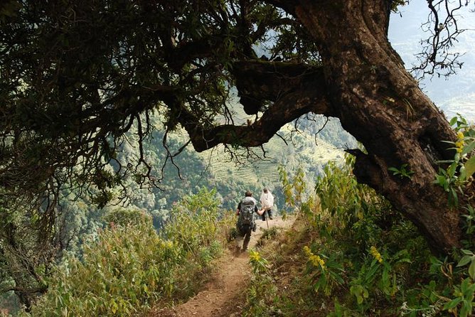 Private 14-Day Trekking and Sightseeing: Annapurnas & More - Kathmandu - Trekking in the Annapurnas