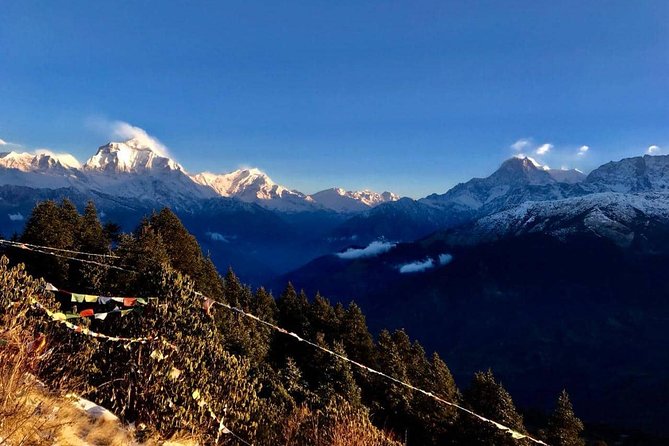 Private 14-Day Trekking and Sightseeing: Annapurnas & More - Kathmandu - Sightseeing in Pokhara and Kathmandu Valley