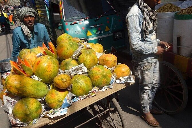 Private 14 Days In-depth India Tour, Daily Start & Exclusive Car - Deep Dive into the Itinerary