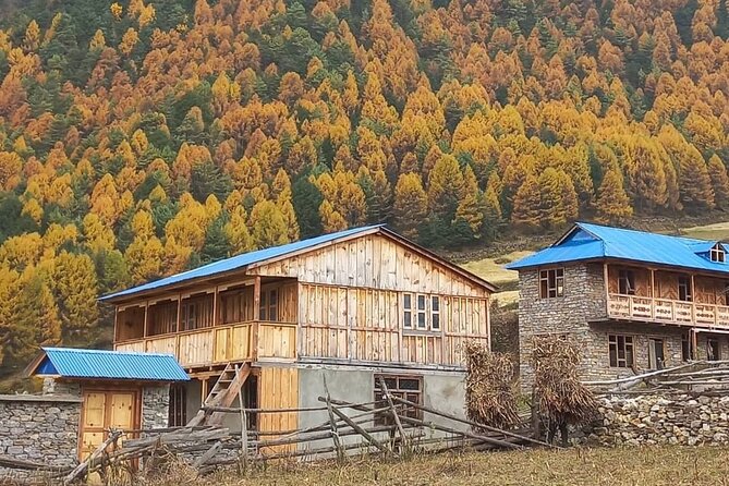 Private 14 Days Trek in Nepals Manaslu Circuit - Accommodation and Meals