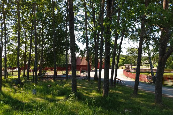 Private 1h Tour of Famous Old Uppsala Mounds and Mediveal Church - Archaeological Excavations and Insights