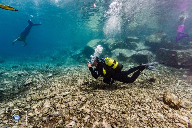 Private 1st Diving License Course in Tenerife - Course Requirements