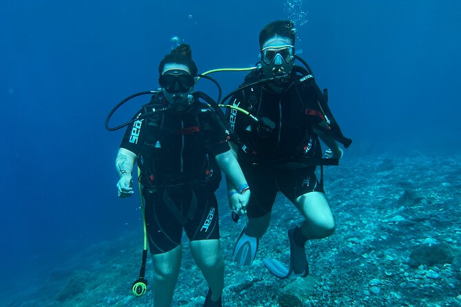 Private 1st Diving License Course in Tenerife - Course Instructors