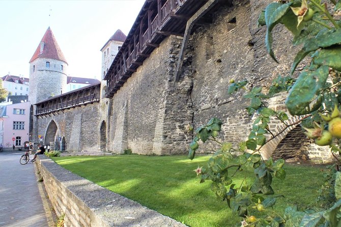 Private 2.5-Hour Tour of Tallinn Old Town in a Spacious Mercedes Minivan - Tour Overview