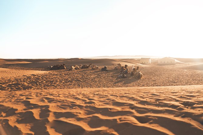 Private 2-Day Desert Tour From Marrakech - Departure and Return