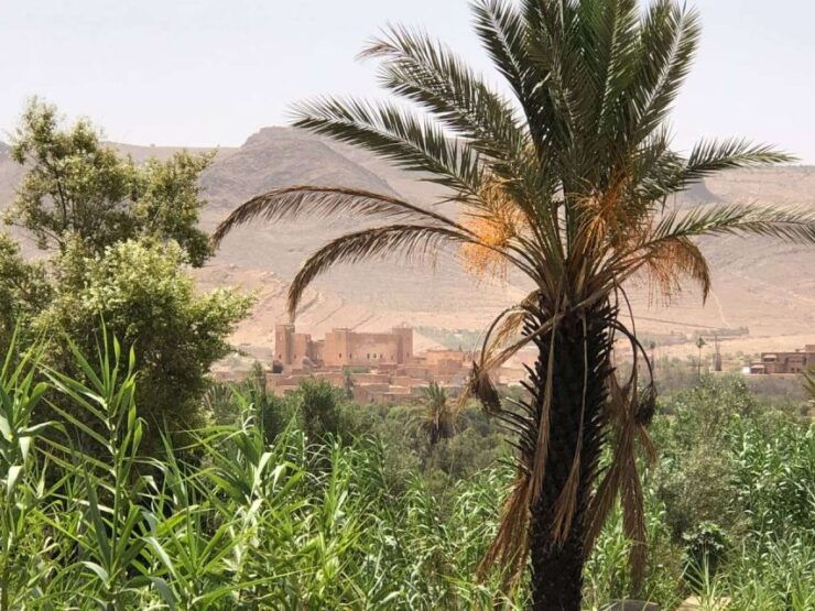 Private 2-Day Desert Trip With Camping & Camel Trekking - Experience Highlights
