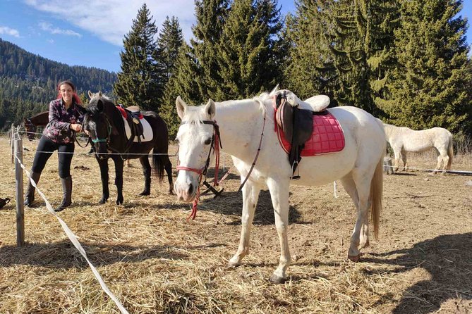 Private 2-Day Horse Riding Trip in Rila From Sofia - Booking Process