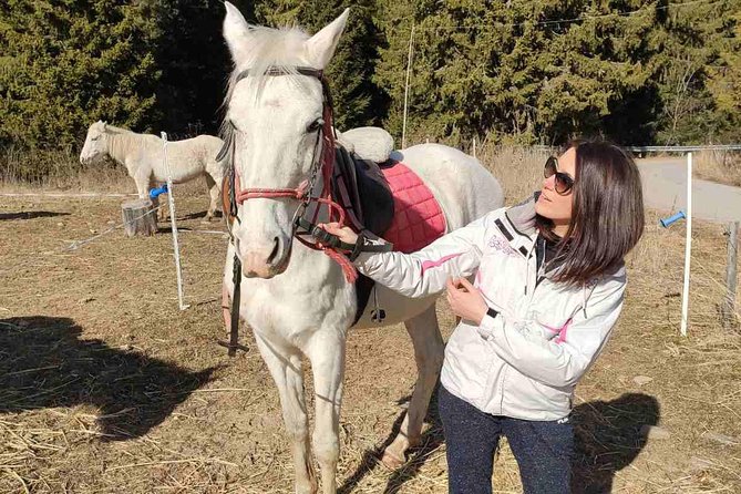 Private 2-Day Horseback Riding in Rhodope Mountains From Plovdiv - Pricing Information