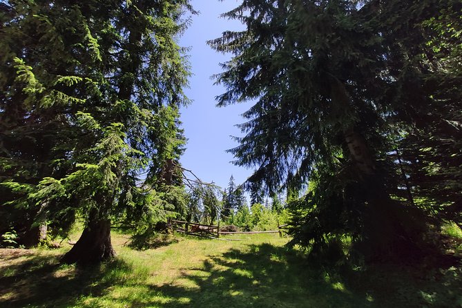 Private 2-Day Horseback Riding in Rhodope Mountains From Plovdiv - Frequently Asked Questions