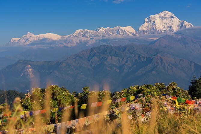 Private 2-Day Poon Hill Hike with Meals - The Sum Up