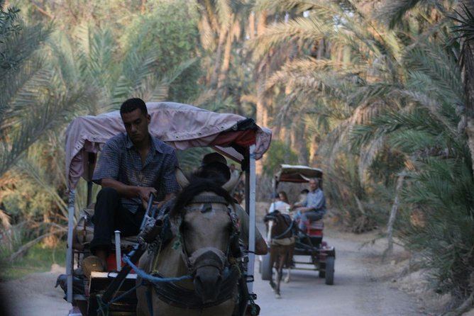 PRIVATE 2 Day SAFARI (Ksar Ghilane and Atlas Mountains) From Jerba - Scenic Views and Attractions in the Atlas Mountains