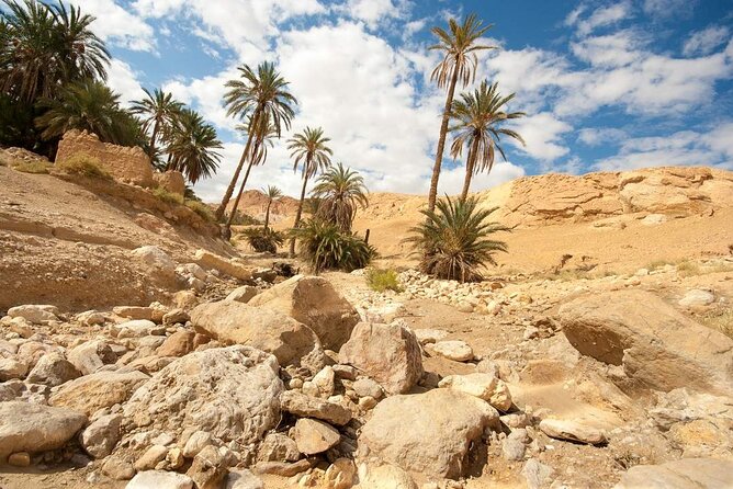 PRIVATE 2 Day SAFARI (Ksar Ghilane and Atlas Mountains) From Jerba - Booking Information and Pricing Details