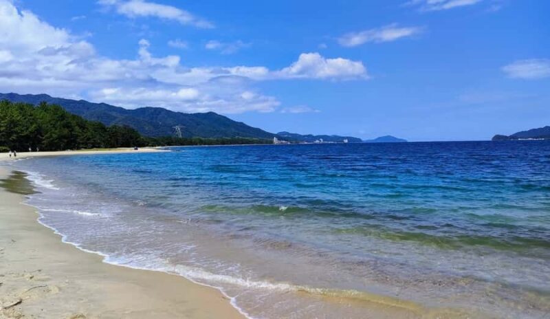 Private 2-Day Tour (16): Wakayama Coast & Kumano Kodo - Discovering the Wakayama Coast & Kumano Kodo in Comfort and Privacy