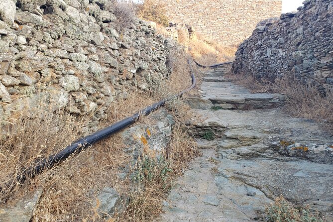 Private 2-Day Tour in Kea Island and Meet the Lion - Transportation Details