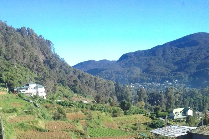 Private 2 Day Tour Udawalawe & Ella From Kandy - Pricing and Booking Information