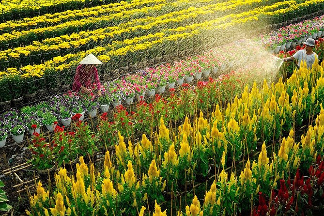 Private 2 Days 1 Night Sai Gon - Sa Dec - An Binh - Can Tho - Highlighted Attractions