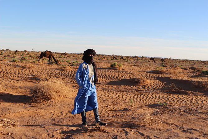 Private 2-Days Desert Tour From Marrakech to Mhamid Dunes Camel (All-Inclusive) - Common Questions