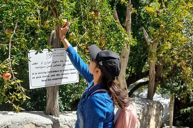Private 2 - Days Jebel Akhdar Overnight Camping Tours - Tour Overview