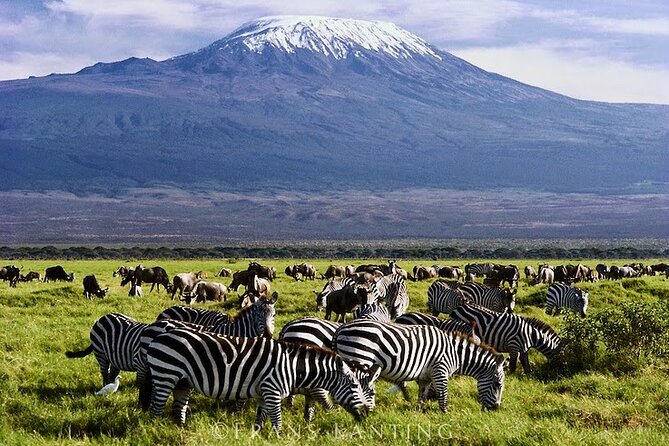 Private 2 Days Tour Amboseli National Park Safari - Itinerary Details