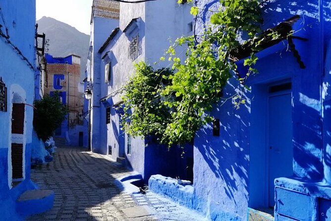 Private 2 Days Trip to Chefchaouen the Blue City From Casablanca - Accommodation Details