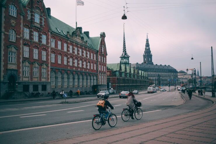 Private 2-hour Copenhaguen Walking Tour - Tour Details