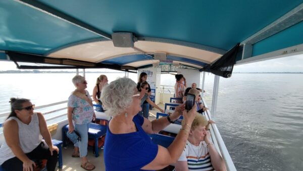 Private 2 Hour Dolphin Sightseeing Tour- Melbourne - Private Group Bookings