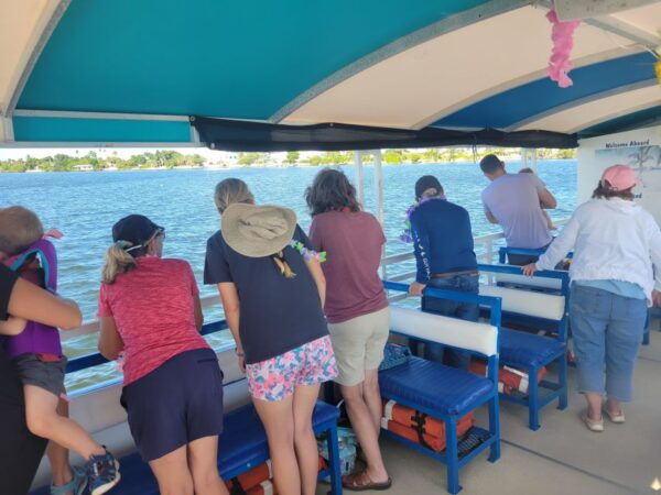 Private 2 Hour Dolphin Sightseeing Tour- Melbourne - Common Questions