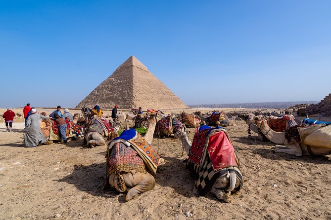 Private 2 Hours Camel Ride or Horse Around The Pyramids - Price and Inclusions