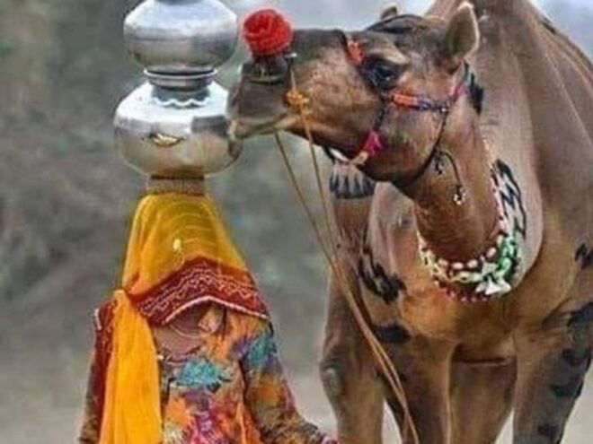 Private 2 Nights 3 Days Delhi ,Agra and Jaipur Tour by Car - Inclusions