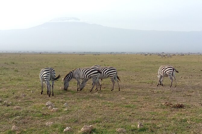 Private 2 Nights and 3 Days Amboseli Tour - Good To Know