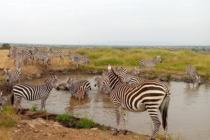 Private 2 Nights and 3 Days Amboseli Tour - Pickup Information