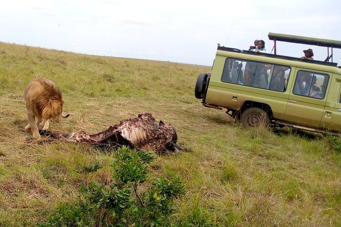 Private 2 Nights and 3 Days Amboseli Tour - Game Viewing